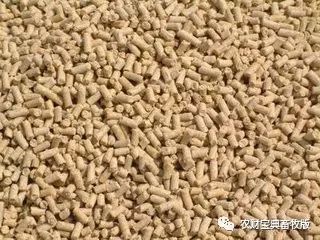 討要飼料款遇“神逆轉”，養殖戶反訴飼料致生豬死亡